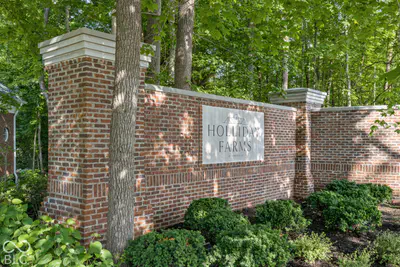 10642 Holliday Farms Boulevard, Zionsville - 85