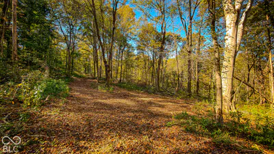 13290 E River Road, Shoals - 26
