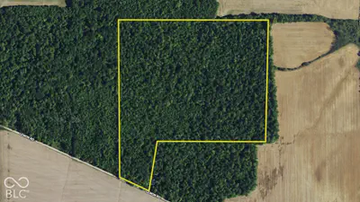 3255 Lemon Road, Madison - 35