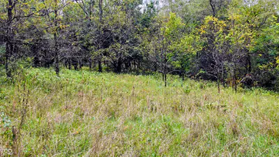 6847 Brushy Fork Road, Madison - 29
