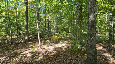 3255 Lemon Road, Madison - 14