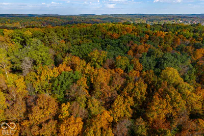 113 Hickory Knob Road, Nashville - 36