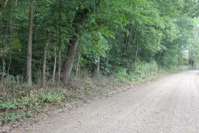 3490 Marlett Road, Nashville - 42