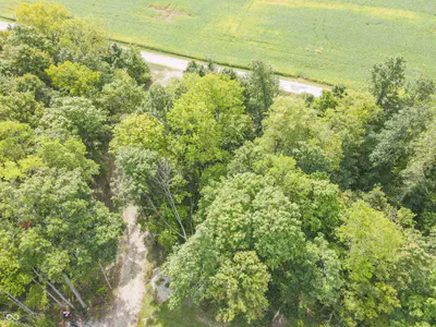 5294-5678 County Road 300, New Castle - 6