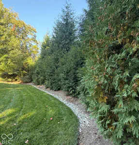 6658 English Oak Drive, Avon - 38