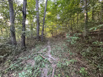 2436 Firecrest Lane, Freedom - 24