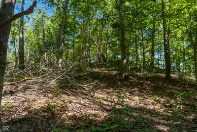 0 Pumpkinvine Hill Road, Martinsville - 11