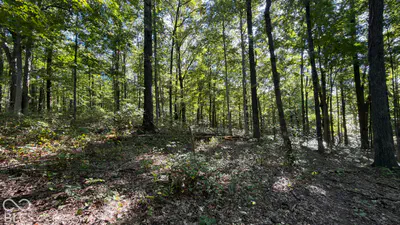 0 Michaels Road, Bloomfield - 37