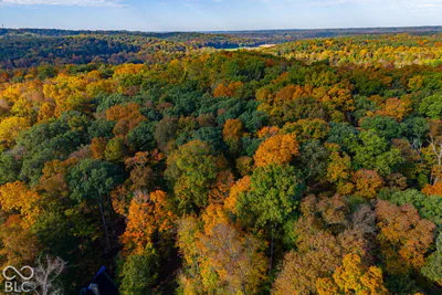 113 Hickory Knob Road, Nashville - 37