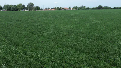 2725 County Road 450, Frankfort - 6