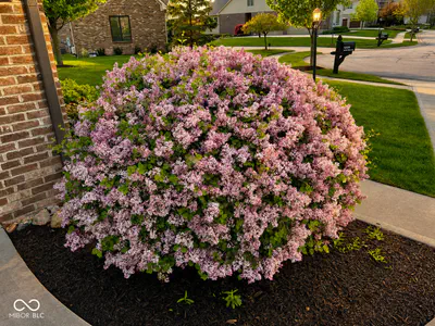 16858 Meadow Wood Court, Noblesville - 55