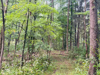 1 Snail Creek Road, Brookville - 10