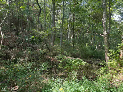15839 State Road 156, Patriot - 20