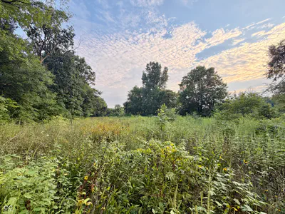 1732 250 West Road, Albion - 12