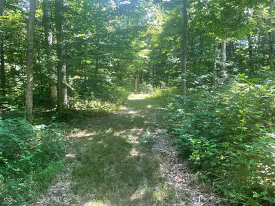 3812 E County Road 700 S, Cloverdale - 45