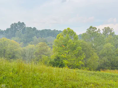 1 Snail Creek Road, Brookville - 5