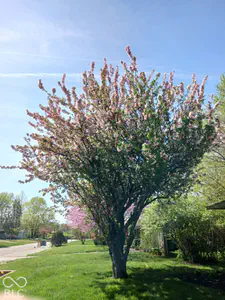 644 Lakeview Drive, Zionsville - 33