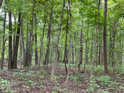 778 W Gasburg Lane, Mooresville - 71