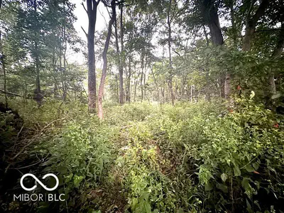 Lot #1 100, Perrysville - 10