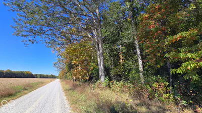 3255 Lemon Road, Madison - 18