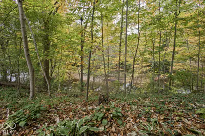 12416 Windsor Drive, Carmel - 48