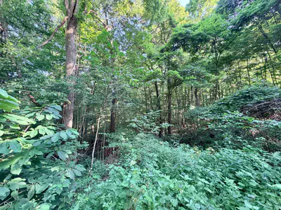 3356 Mangus Road, Poland - 7