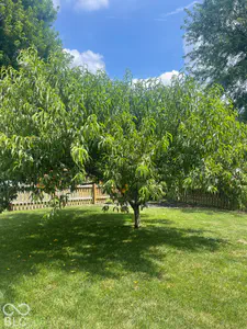 8891 Woodlark Drive, Fishers - 74