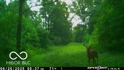 7811 Sanes Road, Connersville - 7