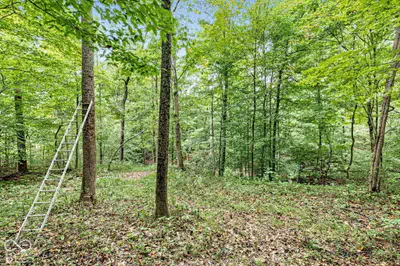 3190 Wilbur Road, Martinsville - 15