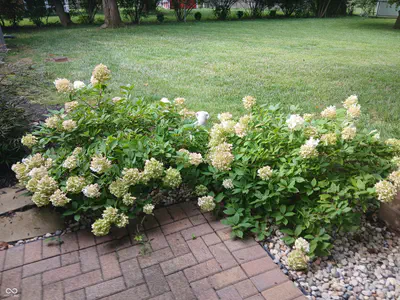 644 Lakeview Drive, Zionsville - 27
