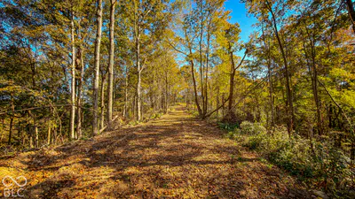 13290 E River Road, Shoals - 19