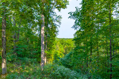 2265 Skyline Drive, Nashville - 36