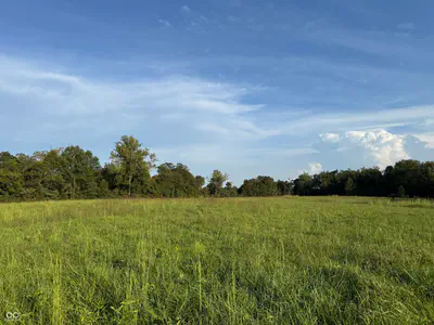 2436 Firecrest Lane, Freedom - 4