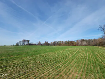 12614 County Road 1000, Seymour - 9