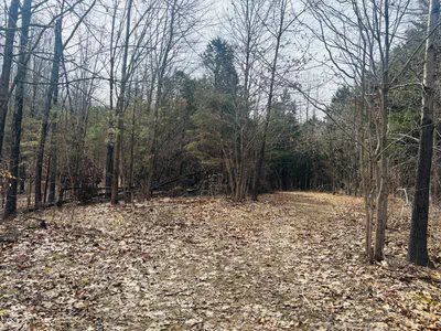 1 Snail Creek Road, Brookville - 19