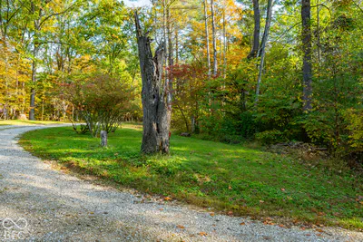 113 Hickory Knob Road, Nashville - 5