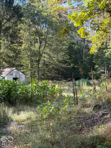 8942 Bean Blossom Road, Trafalgar