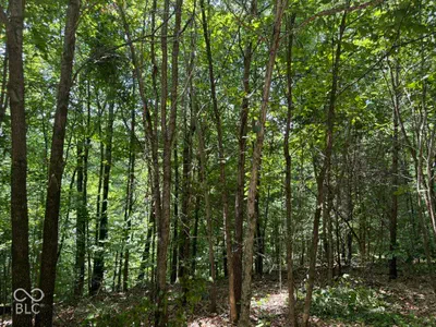 0 Buffalo Pike Road, Freetown - 3