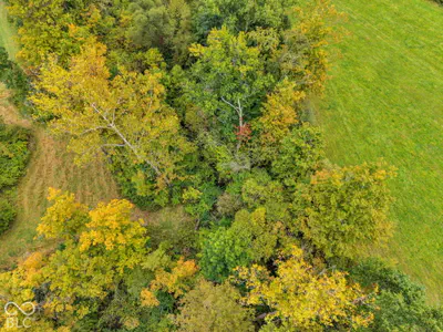7743 State Road 267, Plainfield - 38