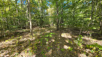 3255 Lemon Road, Madison - 7