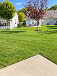 7333 Summer Lea Court, Indianapolis - 33