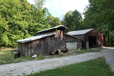 8541 Buffalo, Poland - 38