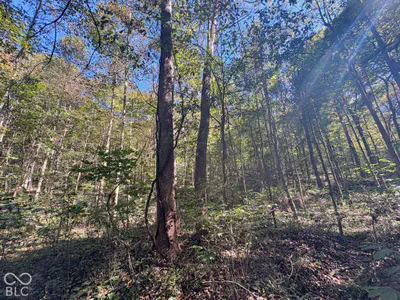 3920 N County Road 500 W, West Baden Springs - 18