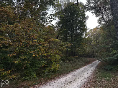 4115 Ivanwald, Reelsville - 10