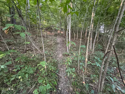 2436 Firecrest Lane, Freedom - 23