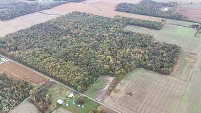 3949 E Thornton Road, Madison - 23