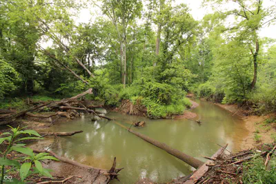 0 Old Nashville Road, Columbus - 2