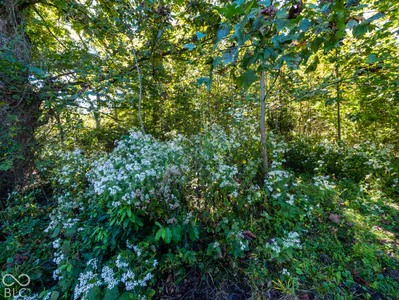 5961 Flowing Well Road, Poland - 80