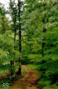 4203 Moorman Road, Batesville - 2