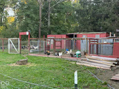 629 200, Greenfield - 30
